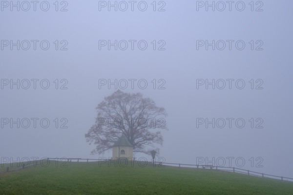 Fog an der Aussichtskapelle am Obereck Törwang, Samerberg, Upper Bavaria, Bavaria, Germany