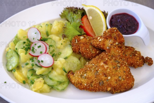Styrian baked chicken with potato salad, food, Klostergasthof Maria Eck, bei Siegsdorf, Chiemgau, Upper Bavaria, Bavaria, Germany