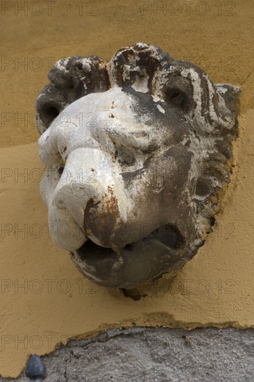 Sculpture of a lion's head above an entrance, Venice, Veneto, Italy