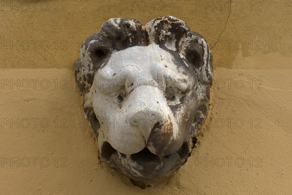 Sculpture of a lion's head above an entrance, Venice, Veneto, Italy