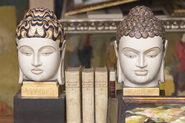 Asian ceramic heads as bookends, Venice, Veneto, Italy