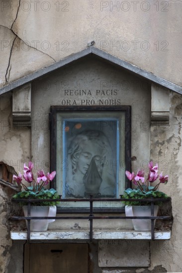 Half relief of the Madonna in a niche with floral decoration, text: Queen of Peace Pray for Us, Venice, Veneto, Italy
