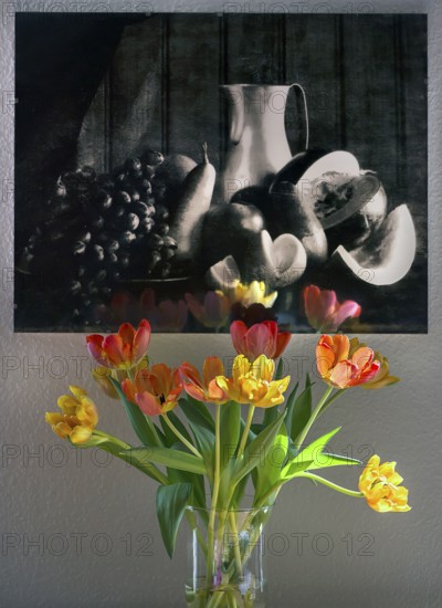 Tulips (Tulipa) in a glass vase in front of a Sillleben photograph, Bavaria, Germany