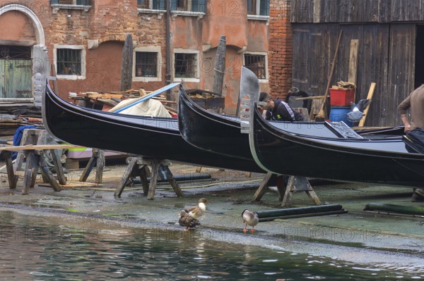 Gondola shipyard, Venice, Veneto, Italy