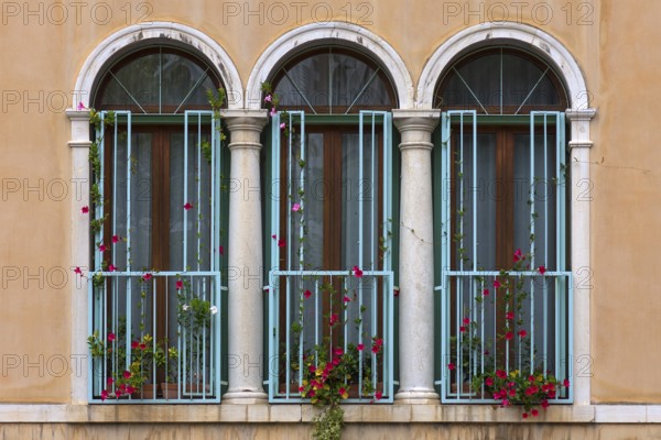 Arched window with columns of a palazzo, Venice, Veneto, Italy