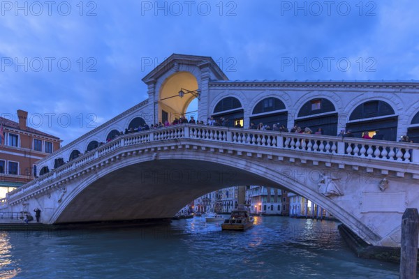Rialto Bridge in the evening, Venice, Veneto, Italy