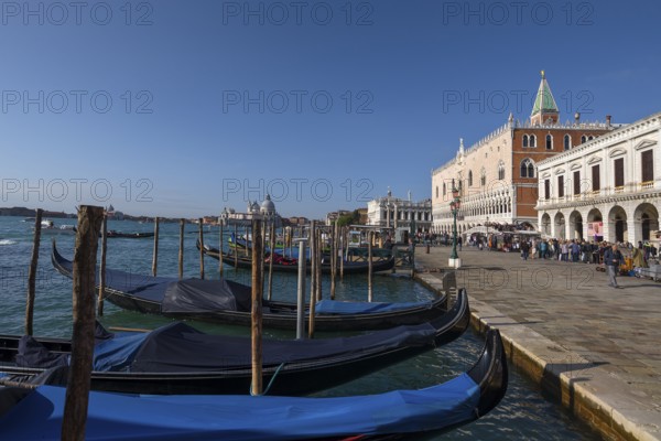 Gondolas in front of the Doge's Palace, Santa Maria della Salute in the back, blue sky, Venice, Veneto, Italy