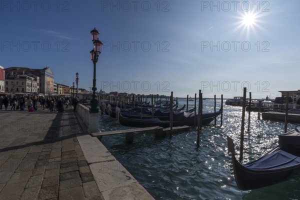 Gondolas at anchor, sun star, Venice, Veneto, Italy