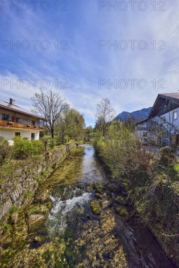 Rote Traun river, fortified bank, riverbed, quarry stone wall, rapids with stones, bushes with spring leaves, shrubs, bare winter trees, houses, alpine buildings, blue sky, cirrus clouds, cirrostratus clouds, Traunsteiner Straße, Inzell, district of Traunstein, Bavaria, Germany