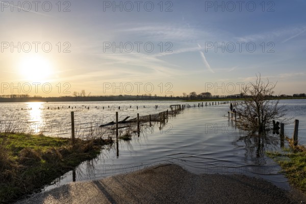 Bislicher Insel, in winter, floods in the floodplains due to Rhine flooding, nature reserve on the Rhine, Altrheinarm, near Xanten, Lower Rhine, Wesel district, one of the few floodplain landscapes in Germany, in winter over 20, 000 wild birds, many arctic geese species pause and hibernate here, North Rhine-Westphalia, Germany