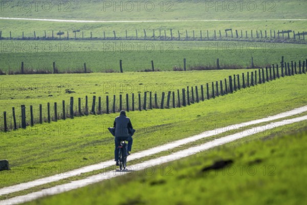 The Bislicher Insel, in winter, dyke path, nature reserve on the Rhine, Altrheinarm, near Xanten, Lower Rhine, Wesel district, one of the few floodplain landscapes in Germany, in winter over 20, 000 wild birds, many arctic geese species take a break and spend the winter here, North Rhine-Westphalia, Germany