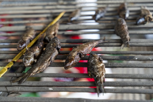 Mising tribal people preparing traditional food during Ali-Aye-Ligang festival in Guwahati, Assam, India on 18 February 2026. Ali-Aye-Ligang celebrates the Mising community's sowing season with traditional dance, rituals, feasting, and prayers for a prosperous harvest