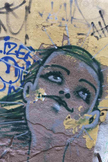 Graffiti on a house wall, Venice, Veneto, Italy