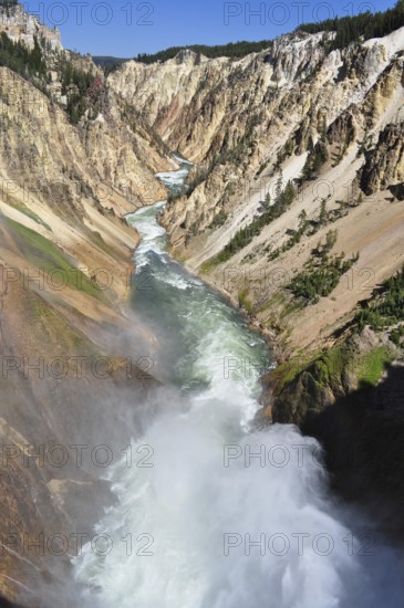 A powerful river rushes through a narrow canyon fringed by dramatic cliffs, Grand Canyon of the Yellowstone, Yellowstone National Park, Wyoming, USA