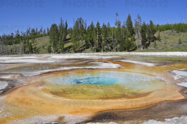 Hot spring with bright orange and blue colors in natural setting, Yellowstone National Park, Wyoming, USA