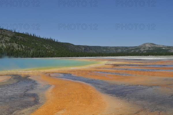 Wide landscape with a hot spring in bright orange and blue under bright skies, Grand Prismatic Spring, Yellowstone National Park, Wyoming, USA