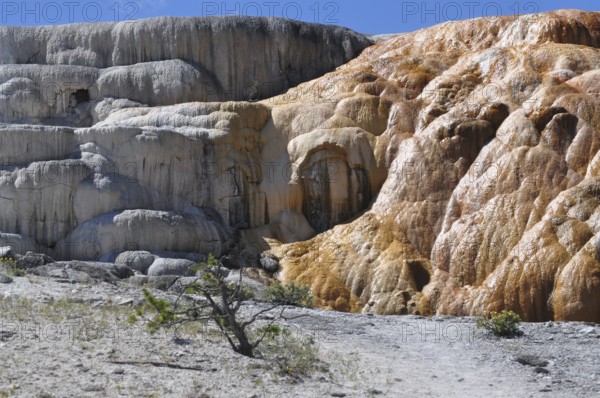 Impressive volcanic deposits with natural orange and white layers, Yellowstone National Park, Wyoming, USA