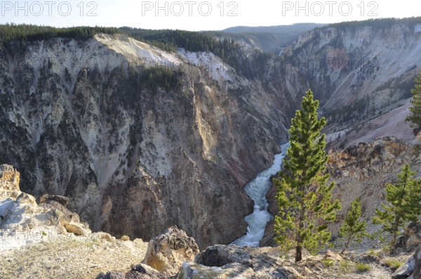 Deep, wooded gorge with a flowing river between steep, rocky cliffs, Grand Canyon of the Yellowstone, Yellowstone National Park, Wyoming, USA