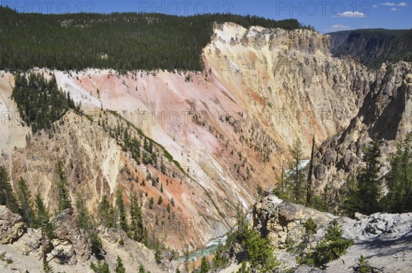 An impressive colorful canyon with rugged rocks crossed by a wooded plain, Grand Canyon of the Yellowstone, Yellowstone National Park, Wyoming, USA