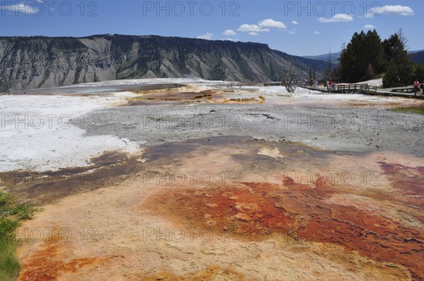 Hot springs with orange minerals and mountains in the background, Yellowstone National Park, Wyoming, USA