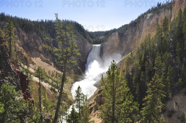 Impressive waterfall falling down steep cliffs in a wooded valley, Grand Canyon of the Yellowstone, Yellowstone National Park, Wyoming, USA