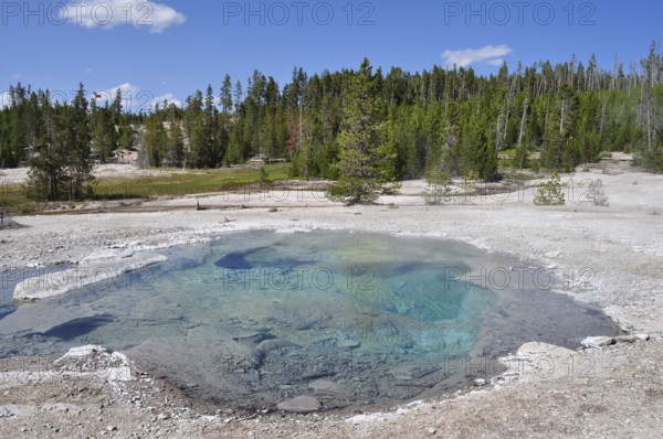 Turquoise hot spring surrounded by woodland, Yellowstone National Park, Wyoming, USA