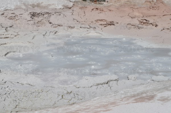 Grey and pink muddy geothermal spring, Yellowstone National Park, Wyoming, USA