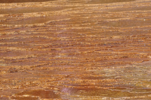 Close-up of an orange geological texture from volcanic deposits, Yellowstone National Park, Wyoming, USA
