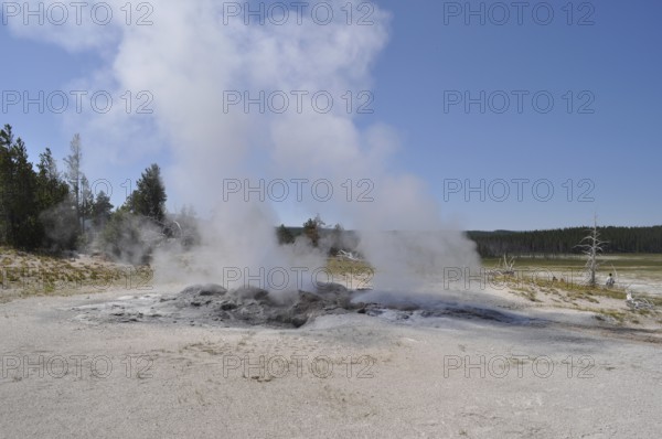 Geyser expels steam into the air and shows geothermal activity in natural environments, Yellowstone National Park, Wyoming, USA