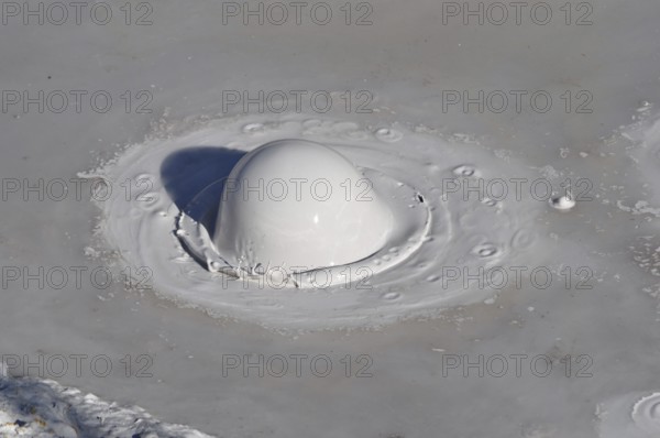 Close-up view of a grey mud pot with a large, rising bubble in the middle, Yellowstone National Park, Wyoming, USA