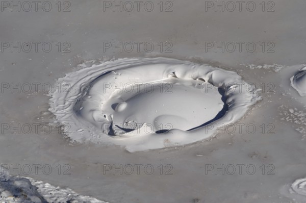 Close-up of gray mud pot with rising bubbles and geothermal features, Yellowstone National Park, Wyoming, USA