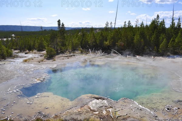 Turquoise hot spring with rising steam surrounded by forest, Yellowstone National Park, Wyoming, USA