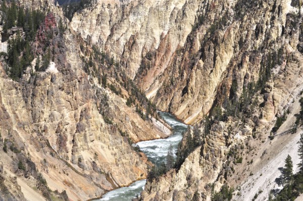 Unique rock structures flank a river inside the canyon, Grand Canyon of the Yellowstone, Yellowstone National Park, Wyoming, USA