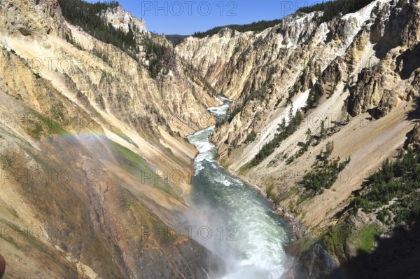 A river flows through a narrow colored canyon, Grand Canyon of the Yellowstone, Yellowstone National Park, Wyoming, USA