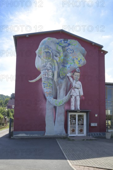 Mural The Elephant by CASE 2013, street art, graffiti, wall painting, elephant figure, child, boy, front door, standing, sports school, karate, house façade, wine red, Andreas von Chrzanowski, Schmalkalden, Franconia, Thuringia, Germany