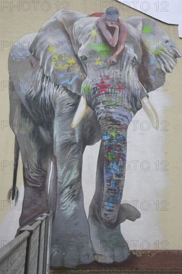 Mural elephant with jack on back by CASE maClaim 2016, elephant figure, street art, graffiti, Bad Vilbel, Wetterau, Hesse, Germany