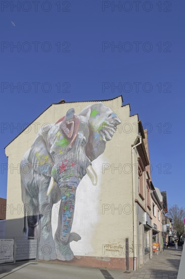 Mural elephant with jack on back by CASE maClaim 2016, elephant figure, street art, graffiti, house, Bad Vilbel, Wetterau, Hesse, Germany