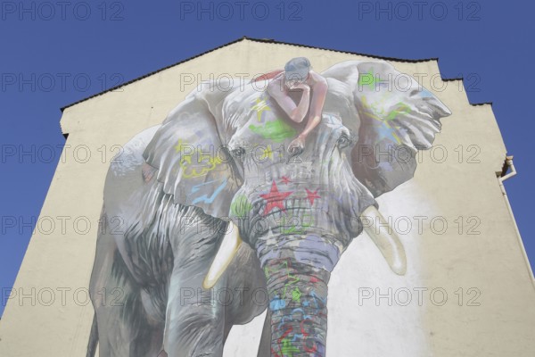 Mural elephant with jack on back by CASE maClaim 2016, elephant figure, street art, graffiti, Bad Vilbel, Wetterau, Hesse, Germany