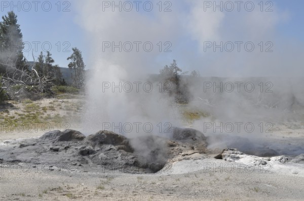 Steaming fumaroles escape from the soil at a geothermal location with light vegetation, Yellowstone National Park, Wyoming, USA
