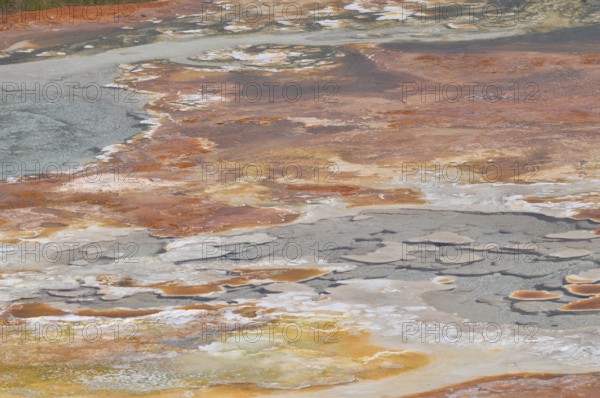 Colourful volcanic mineral area with diverse shades of color and water accumulation, Yellowstone National Park, Wyoming, USA