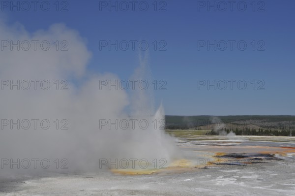 A geyser blows steam into the air surrounded by a vast yellow landscape and blue sky, Yellowstone National Park, Wyoming, USA