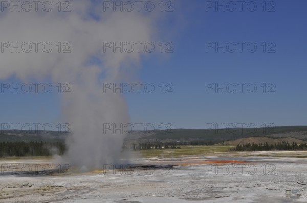Steam rises from a geyser surrounded by expanse in the background under bright blue sky, Yellowstone National Park, Wyoming, USA