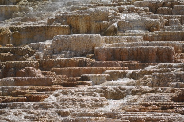 Stepped brown-yellow terraces of volcanic deposits with running water, Yellowstone National Park, Wyoming, USA