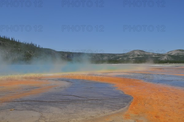 Extensive, colorful geothermally active area under clear skies, Grand Prismatic Spring, Yellowstone National Park, Wyoming, USA