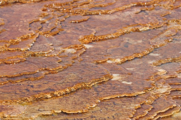 Brown-orange volcanic deposits with terrace structure in water and natural texture, Yellowstone National Park, Wyoming, USA