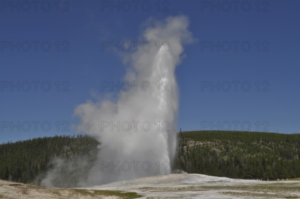 A geyser erupts and blows a high cloud of steam into the clear blue sky, Old Faithful, Yellowstone National Park, Wyoming, USA