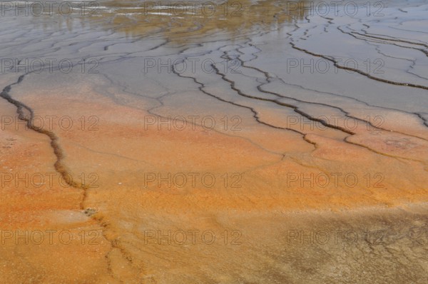Earth-colored mineral deposits form unique natural patterns in a geothermal spring, Yellowstone National Park, Wyoming, USA