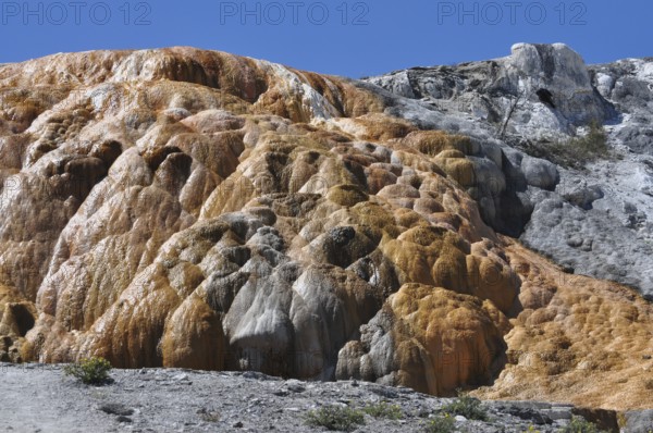 Colorful mineral formations with orange deposits in a hot spring, Yellowstone National Park, Wyoming, USA