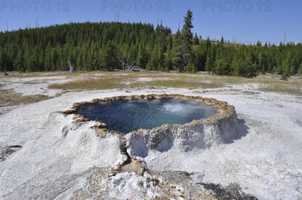 Hot spring with blue color surrounded by trees and open countryside, Yellowstone National Park, Wyoming, USA