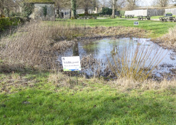 Wildlife pond in free public access area of National Trust property, Avebury, Wiltshire, England, UK